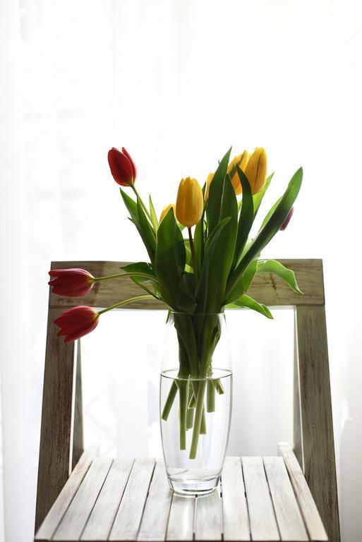 Apartments Kokolo シベニク 部屋 写真